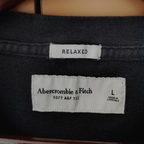 Abercrombie & Fitch Relaxed Long-Sleeve Imagery Logo Tee - (L) - Picture 6 of 9